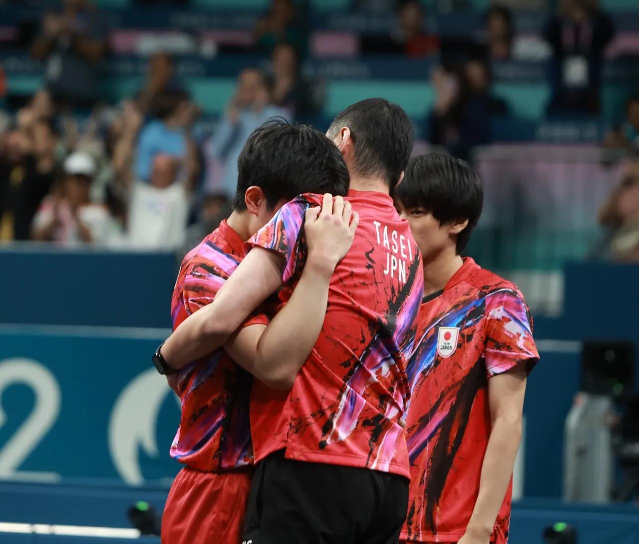 日本队完胜韩国队，张本智和状态火热